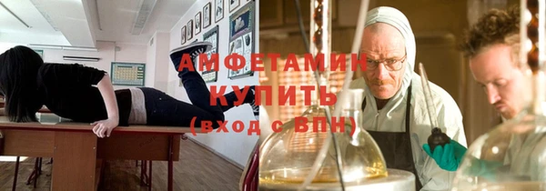 сатива Армянск