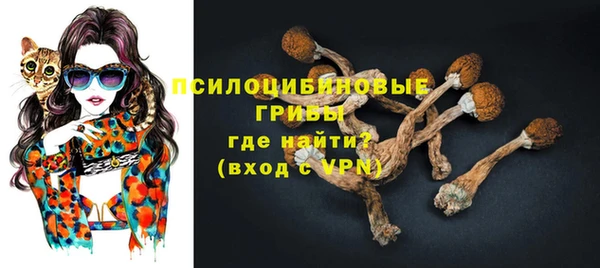 трава Арсеньев